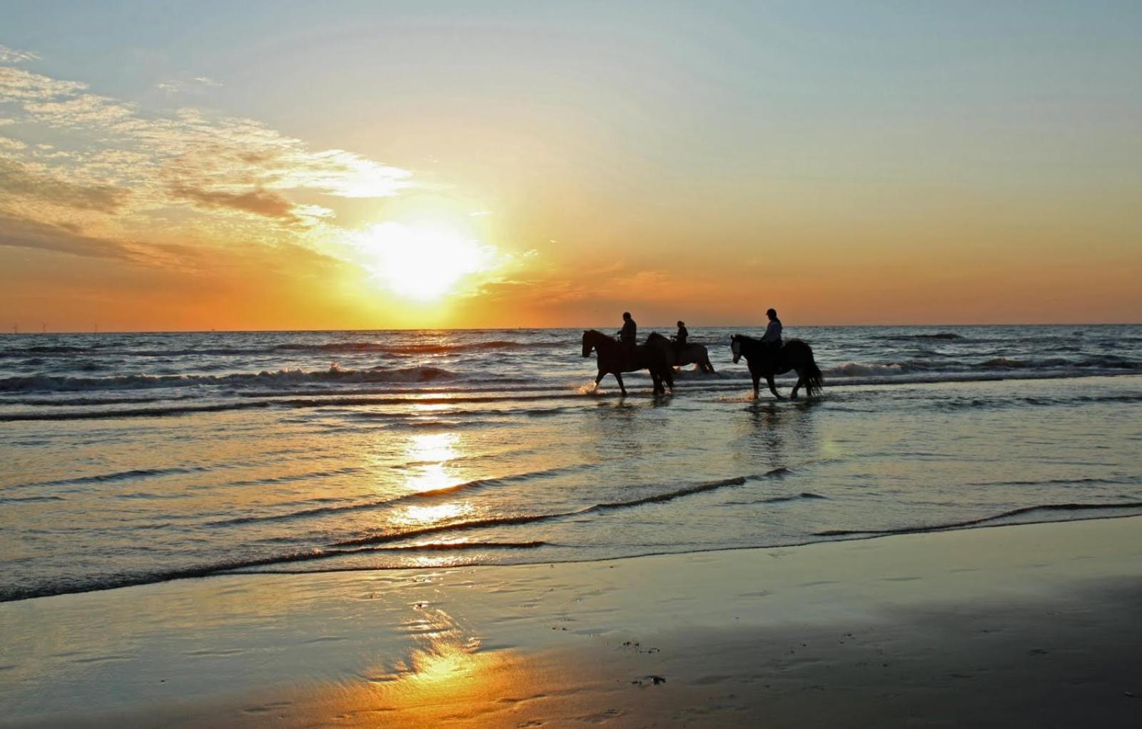 Mer Et Soleil A Blonville Sur Mer/ Deauville Zewnętrze zdjęcie